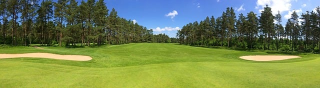 Greetings From the Golf Desk